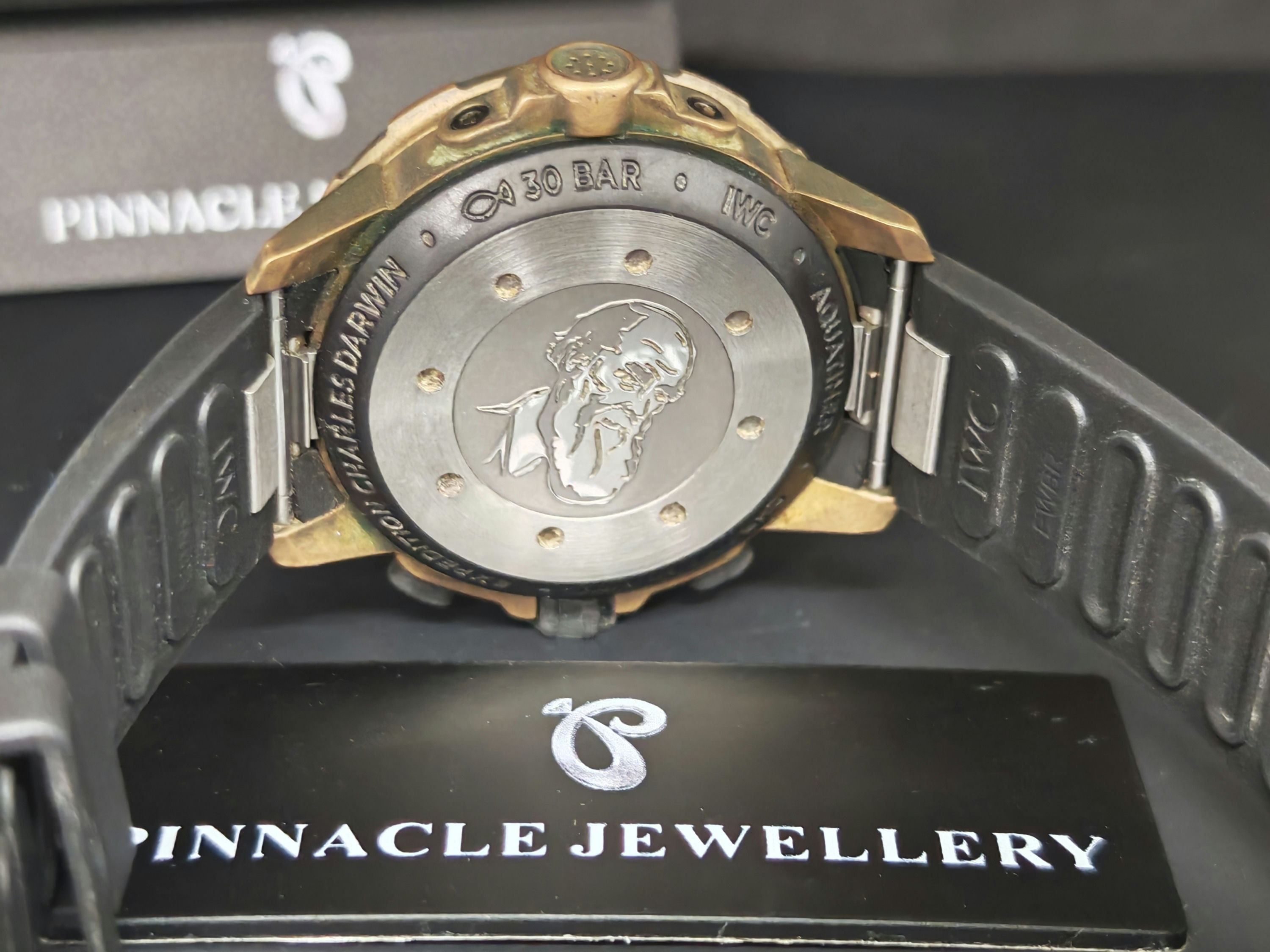 IWC Aquatimer Chronograph Edition Expedition Charles Darwin IW379503 二手名錶 圖片 6